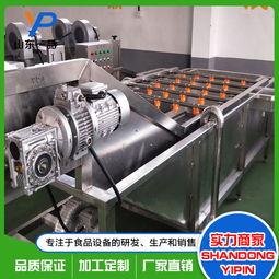 水蜜桃气泡喷淋清洗机批发价格
