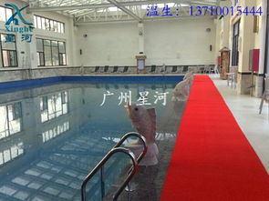 儿童戏水设备批发 标准游泳池设备建造