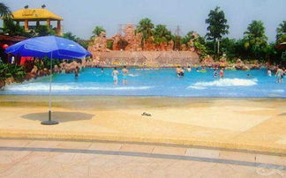 人工造浪设备 技术与应用的全面解析