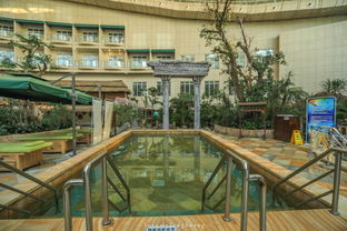 吹着海风,泡着温泉,这个夏天有点不一样 人工造浪设备的奇妙体验