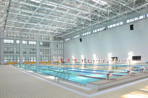 威浪仕Laswim智慧节能泳池设备 为学校泳池打造高品质运动体验